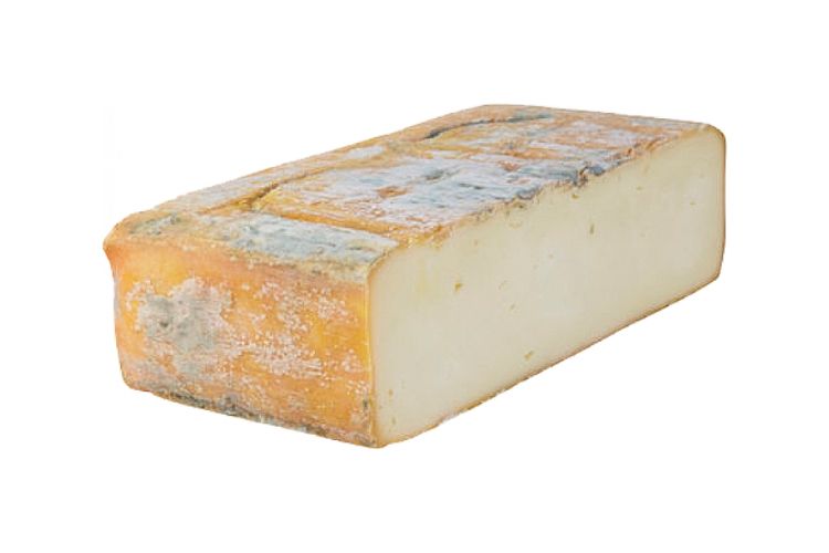 Taleggio