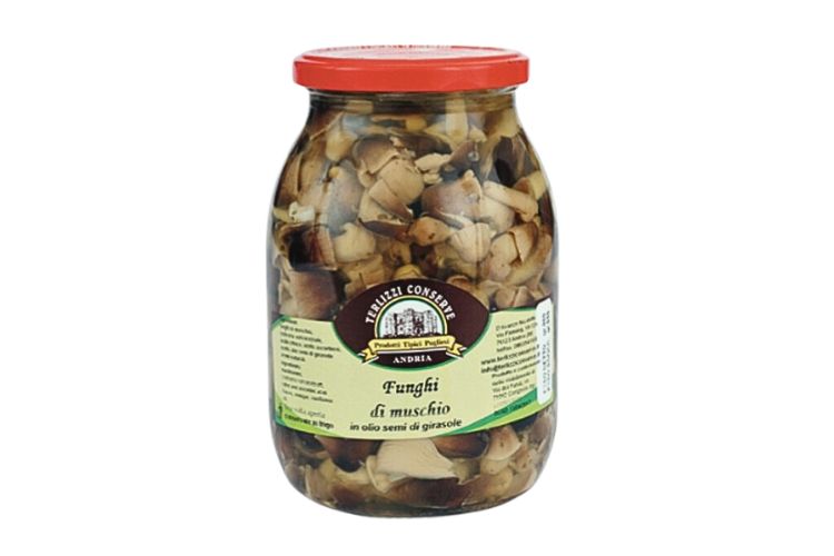 Funghi di Muschio