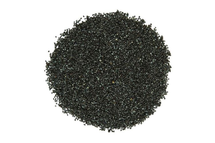 Semi di Papavero