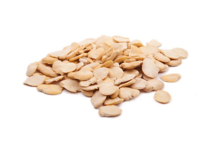 Haricots fava décortiqués