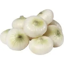 CIPOLLA  BIANCHE NOVELLE
