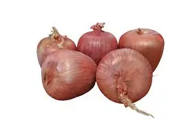 CIPOLLA ROSSA DI ACQUAVIVA