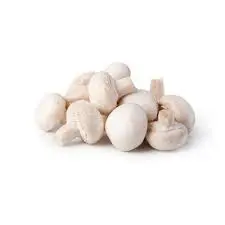 FUNGHI CHAMPIGNONS BIANCHI