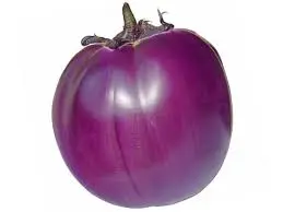 MELANZANA VIOLA TONDA