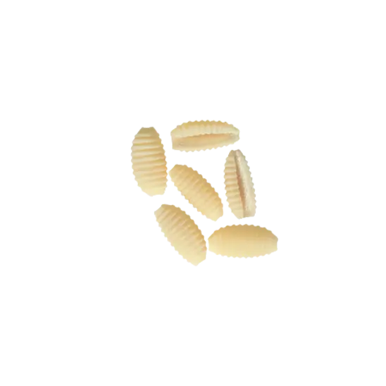 GNOCCHI SARDI artigianali 4 KG.