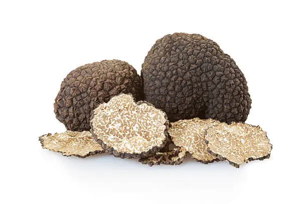 Tartufo Invernale (fresco)