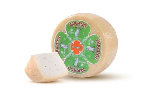 [G31] Brigante di Capra