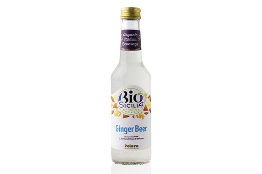 [L39B] Bio Ginger Beer