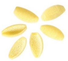 [RP84] Gnocchetti Sardi