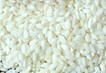 [P43] Riz nano vialone