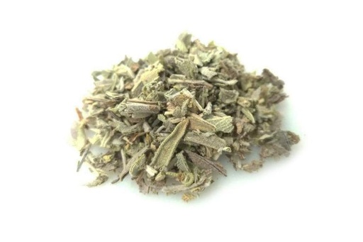 [L63] Salvia