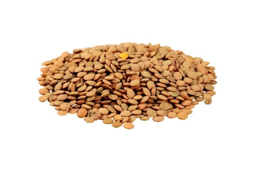 [L9] Lentille mignon