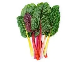 [F152] BIETOLE COLORATE