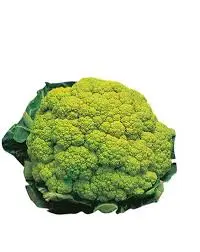 [F22] CAVOLFIORI VERDI