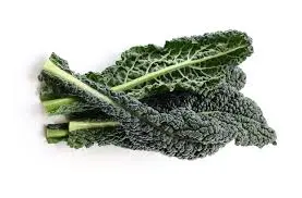 [F61] CAVOLO NERO O CAVOLO TOSCANO