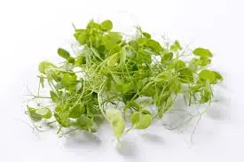 [F122] CRESCIONI DI PISELLI