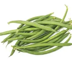 [F28] FAGIOLINI