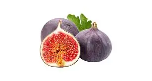 [F55] FICHI