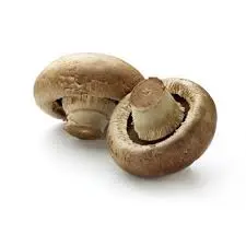 [F92] FUNGHI CHAMPIGNONS SCURO
