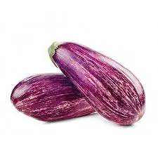 [F153] MELANZANE VIOLE STRIATE