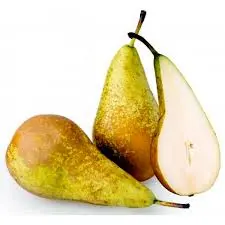 [F116] PERE CONFERENCE GR.180