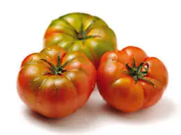 [F125] POMODORO COSTOLUTO