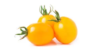[F56] POMODORO DATTERINO GIALLO