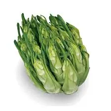 [F93] PUNTARELLE