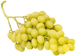 [F119] UVA ITALIA
