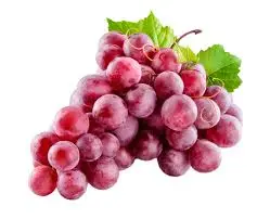 [F121] UVA RED GLOBE