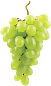 [F118] UVA VITTORIA