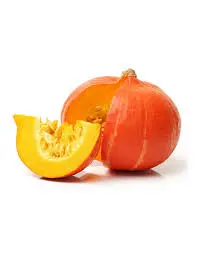 [F173] ZUCCA HOKKAIDO